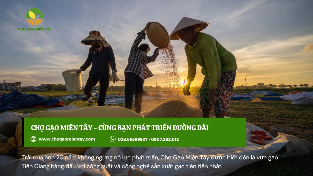 Mở đại lý gạo cần những gì? Hướng dẫn cách mở đại lý gạo 3 Xác định rõ đối tượng cần bán mới tìm ra tệp khách hàng đem đến hiệu quả