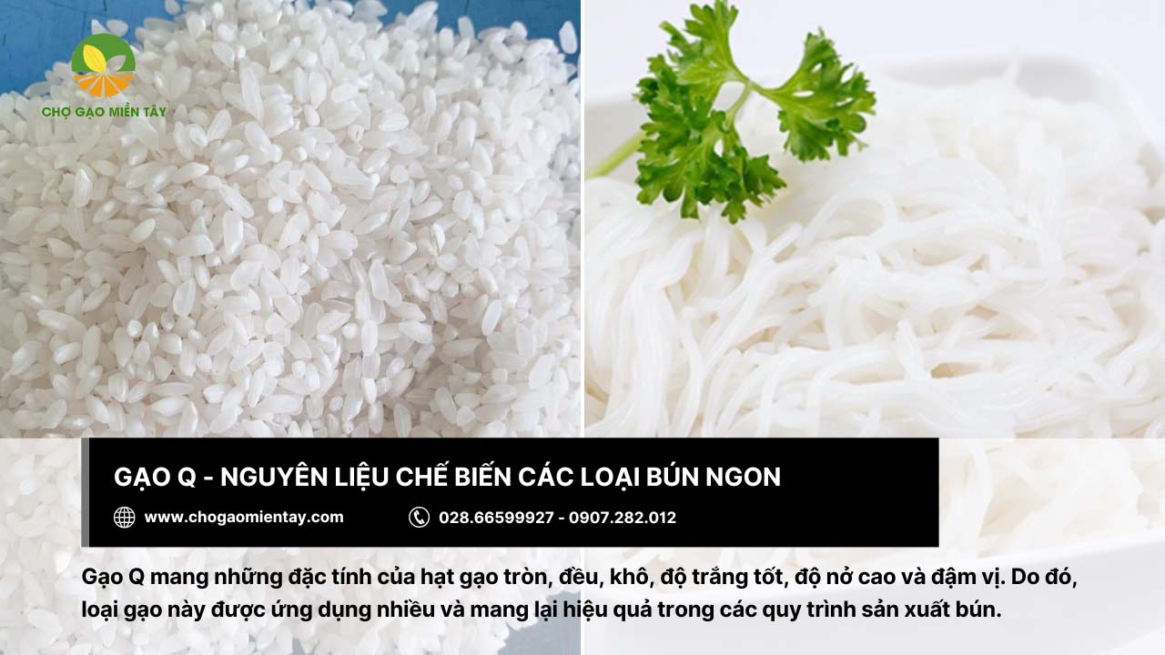 Gạo làm bún là gì? Bảng giá các loại gạo làm bún phổ biến 14 Gạo Q cũng được nhiều lựa chọn khi làm bún