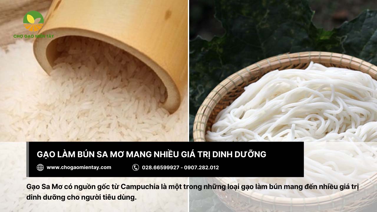 Gạo làm bún là gì? Bảng giá các loại gạo làm bún phổ biến 15 Bún đạt chất lượng dinh dưỡng nhờ sản xuất từ gạo Sa Mơ