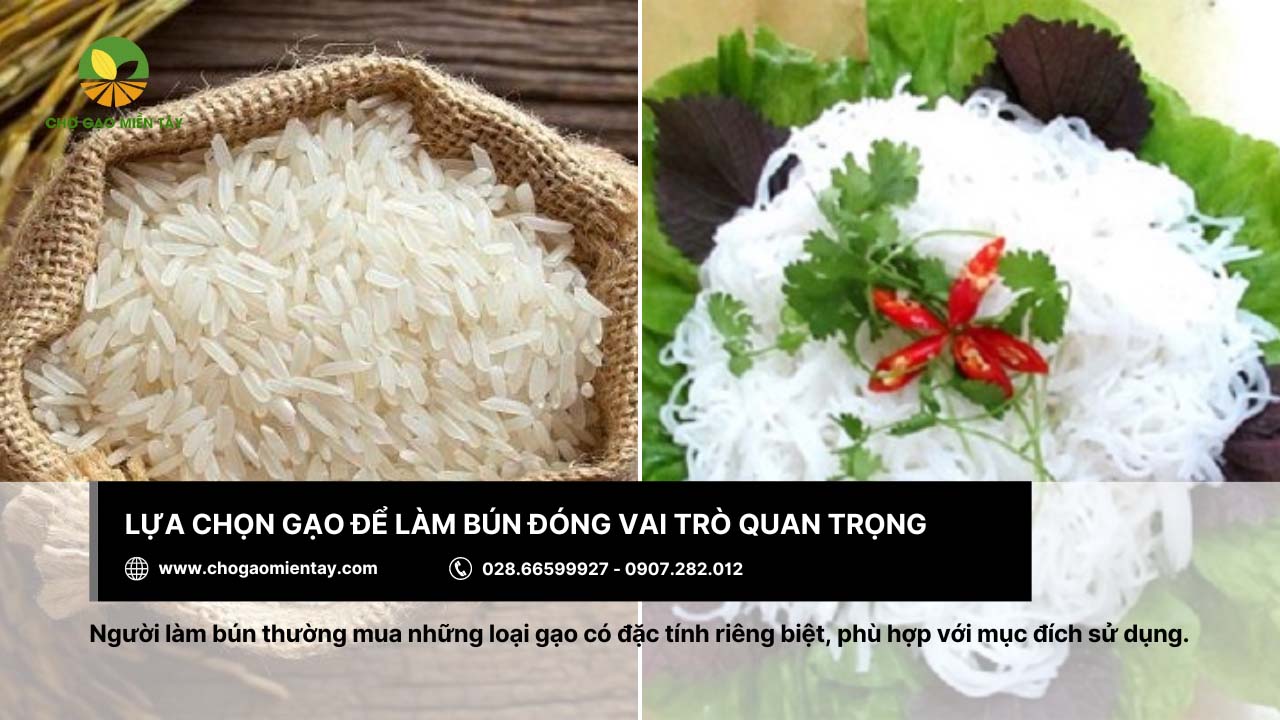 Gạo làm bún là gì? Bảng giá các loại gạo làm bún phổ biến 16 Tùy mục đích sử dụng mà chọn các loại gạo có đặc tính riêng biệt
