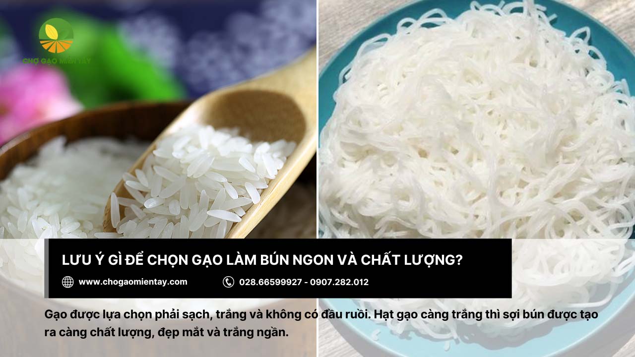 Gạo làm bún là gì? Bảng giá các loại gạo làm bún phổ biến 17 Cần chọn gạo sạch khi làm bún