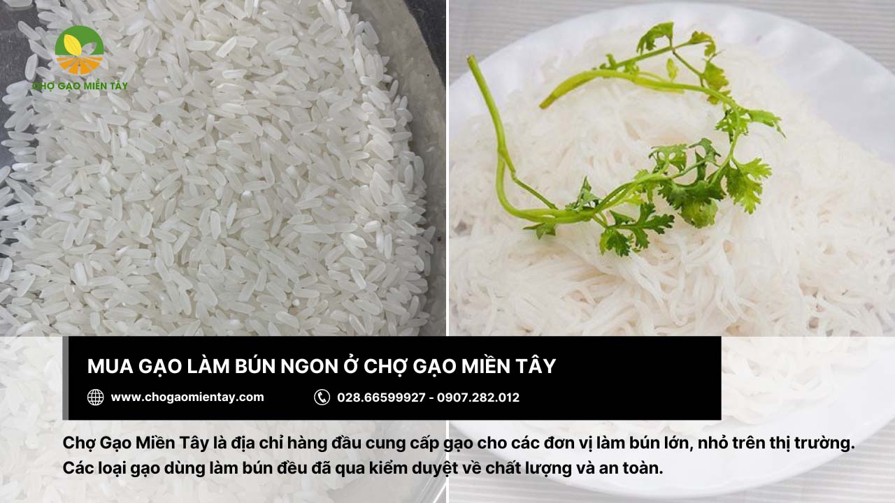 Gạo làm bún là gì? Bảng giá các loại gạo làm bún phổ biến 19 Chợ Gạo Miền Tây - nơi cung cấp gạo chất lượng để sản xuất bún