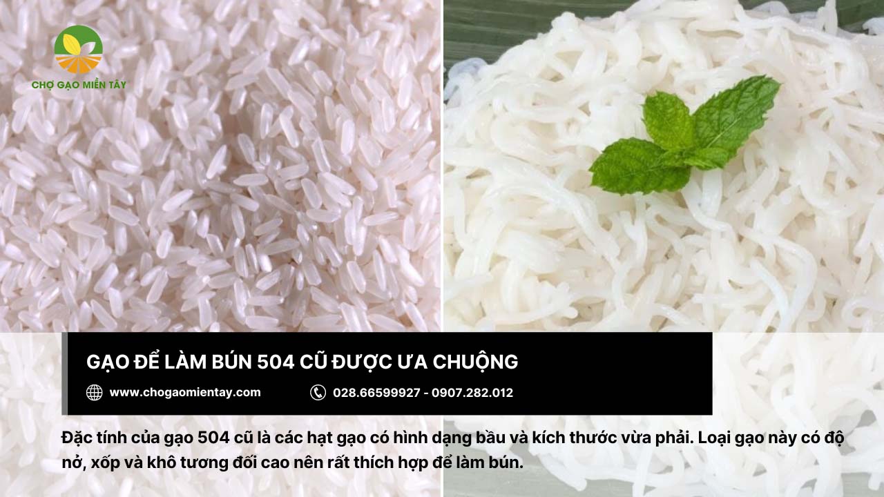 Gạo làm bún là gì? Bảng giá các loại gạo làm bún phổ biến 9 Gạo 504 cũ được ưa chuộng trong sản xuất bún