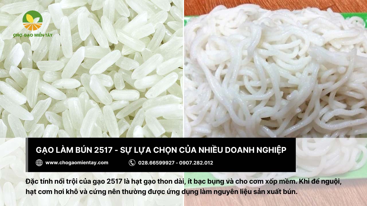 Gạo làm bún là gì? Bảng giá các loại gạo làm bún phổ biến 12 Nhiều doanh nghiệp chọn gạo 2517 để làm bún