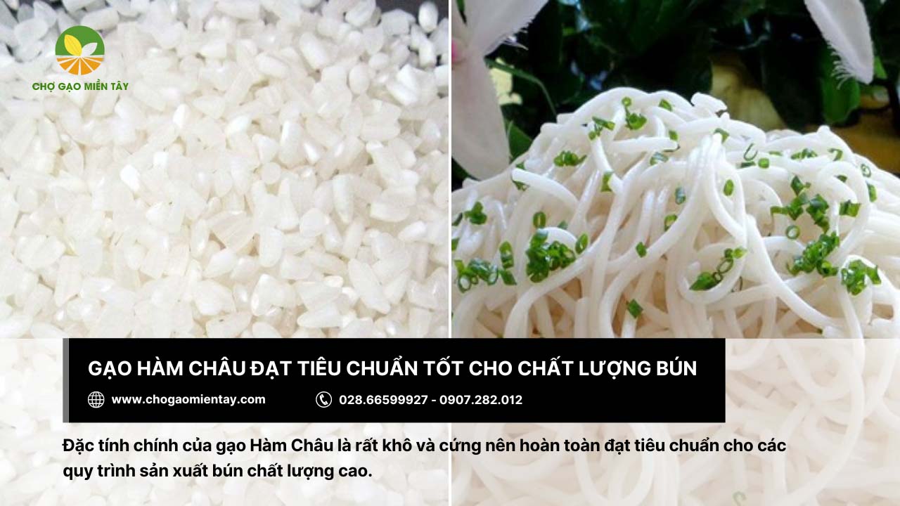 Gạo làm bún là gì? Bảng giá các loại gạo làm bún phổ biến 7 Bún được sản xuất tươi ngon từ gạo Hàm Châu