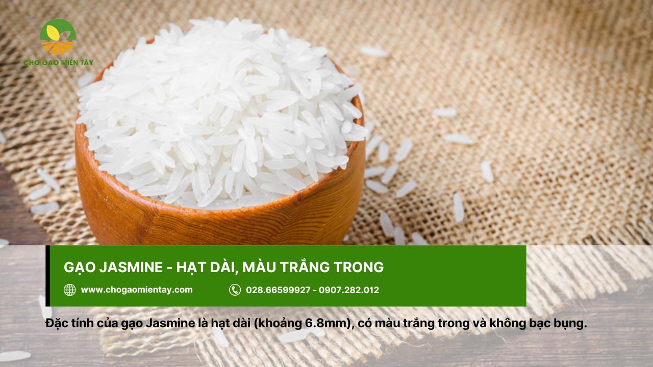 Top 12 gạo dẻo thơm được người Việt Nam lựa chọn 2 Gạo Jasmine cho cơm mềm, vị ngọt nhẹ