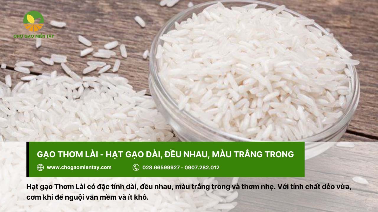 Top 12 gạo dẻo thơm được người Việt Nam lựa chọn 11 Gạo Thơm Lào có tính dẻo vừa, thơm nhẹ