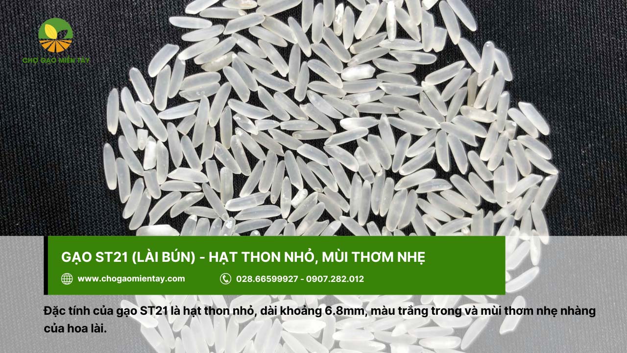 Top 12 gạo dẻo thơm được người Việt Nam lựa chọn 13 Gạo Lài Bún có mùi thơm của hoa lài