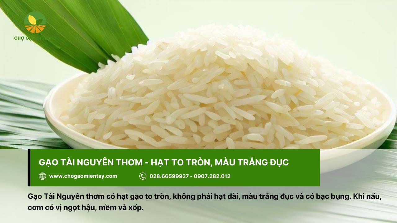 Top 12 gạo dẻo thơm được người Việt Nam lựa chọn 8 Gạo Tài Nguyên thơm cho cơm mềm và xốp
