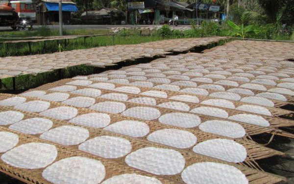 Chọn gạo làm bánh tráng 2 chọn gạo làm bánh tráng