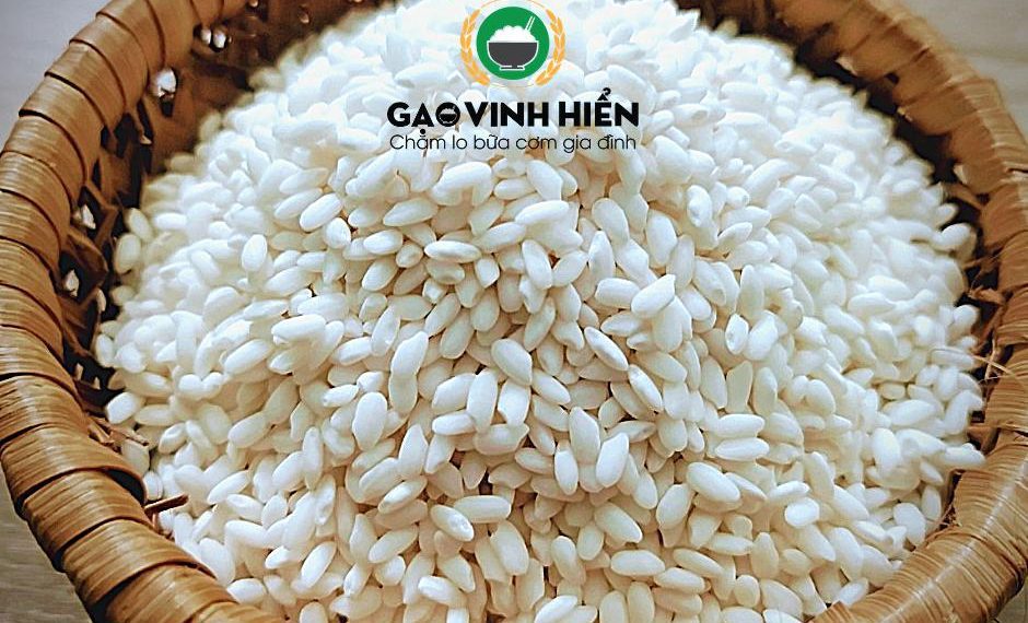 Gạo Nếp Cái Hoa Vàng 8 Nên chọn nếp sáp hay nếp cái hoa vàng