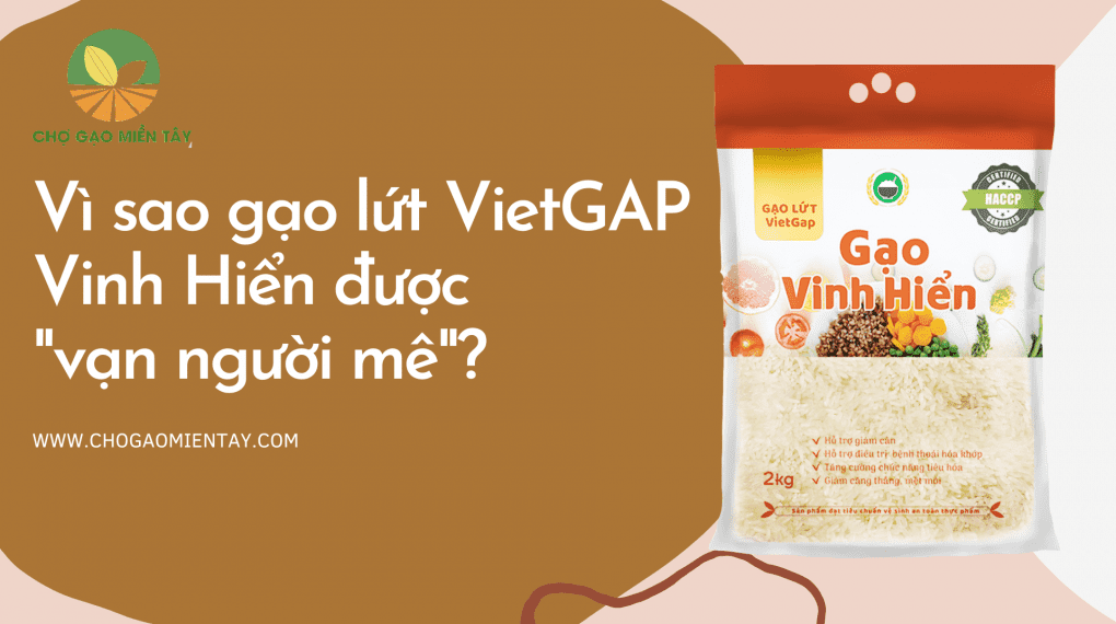 Vì sao gạo Lứt VietGAP của Vinh Hiển được xem là gạo Gạo lứt VietGAP