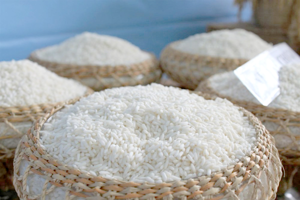 Gạo Nếp Chùm là gì? Kiến thức về gạo 2 gạo nếp chùm