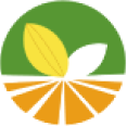 Chợ gạo miền tây