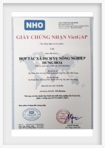 viet gap