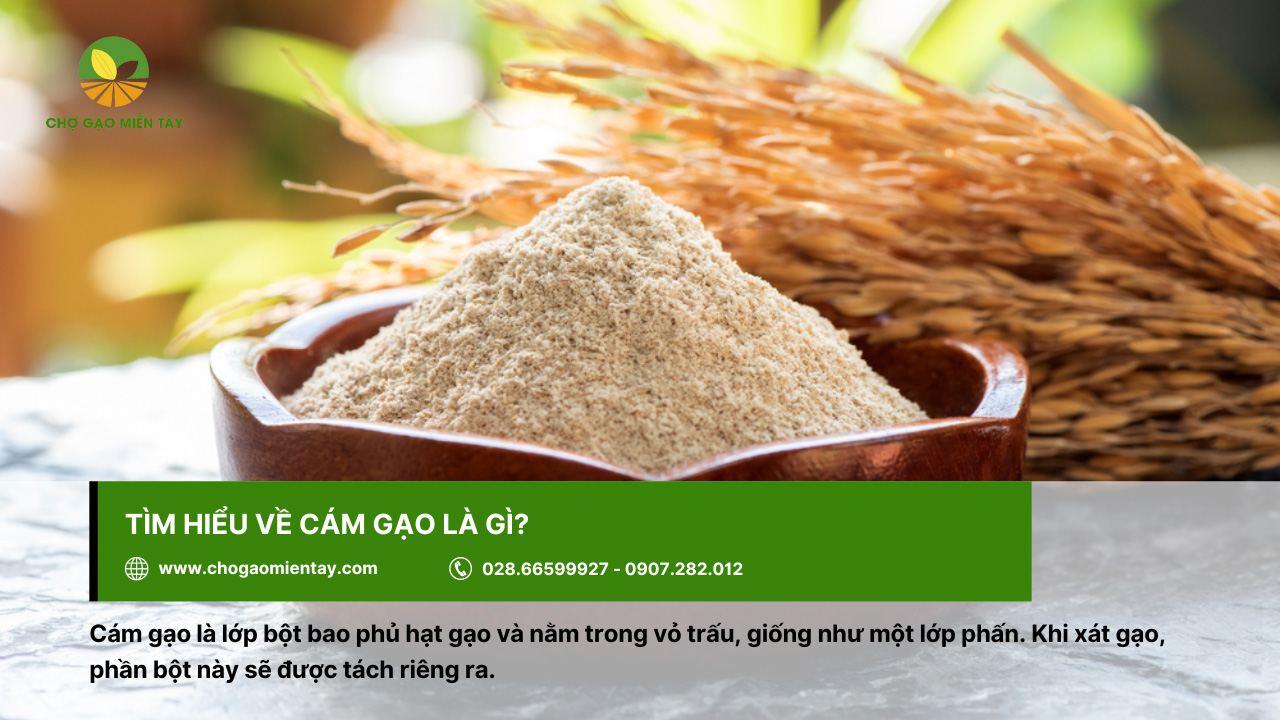 Cám gạo là gì? Các thành phần dinh dưỡng trong cám gạo 2 Cám gạo sở hữu mùi thơm đặc trưng của gạo