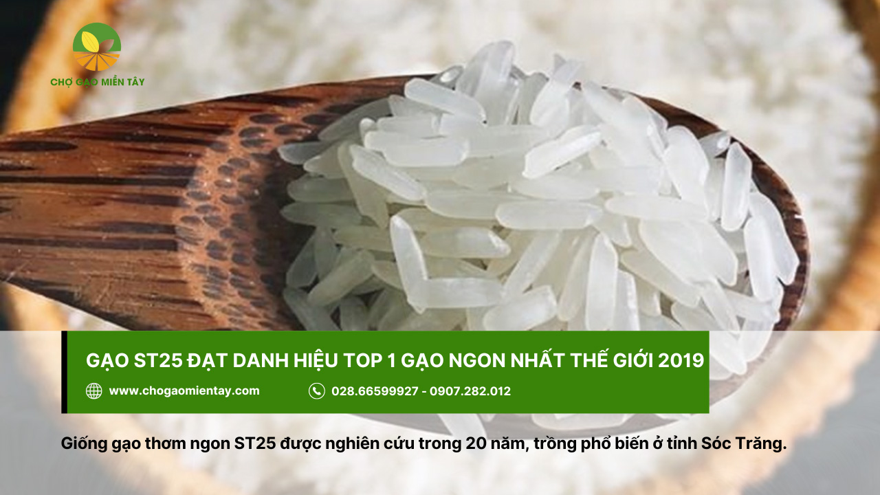 Top 10 các loại gạo ngon nhất Việt Nam được ưa chuộng 2 Giống gạo ST25 được nghiên cứu trong khoảng thời gian 20 năm