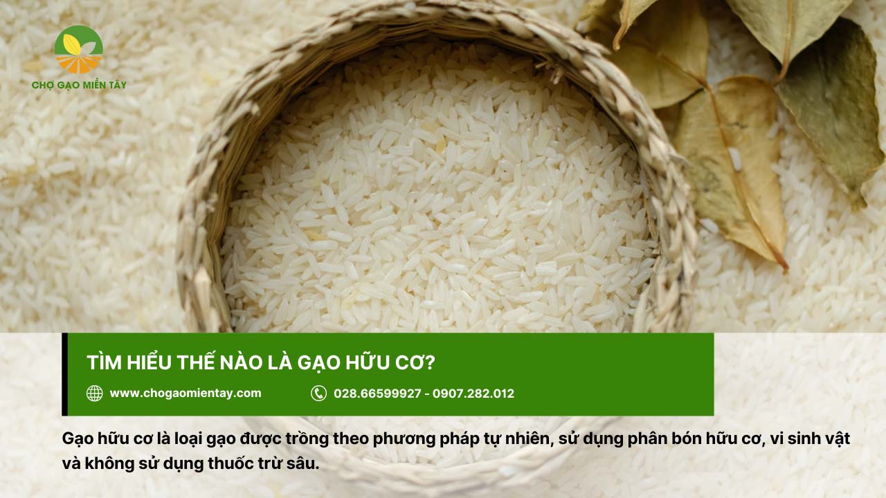 Gạo hữu cơ là gì? Có an toàn đối với sức khỏe người dùng? 3 Gạo hữu cơ được trồng với phương pháp tự nhiên, không thuốc trừ sâu
