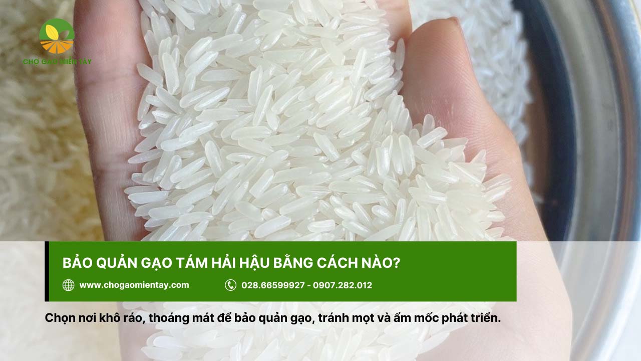 Gạo Tám Hải Hậu 11 Cần bảo quản gạo tám Hải Hậu ở những nơi thoáng mát, khô ráo