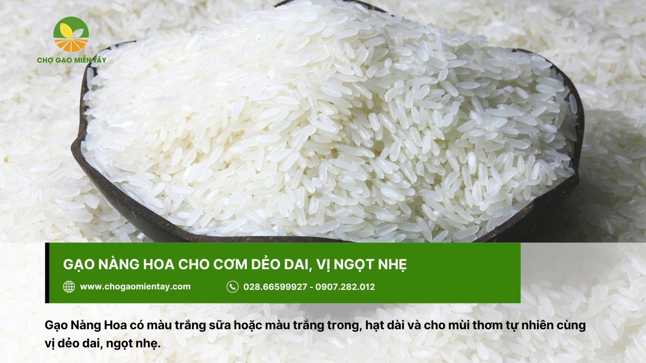 Top 10 các loại gạo ngon nhất Việt Nam được ưa chuộng 13 Gạo Nàng Hoa cho cơm có mùi thơm tự nhiên