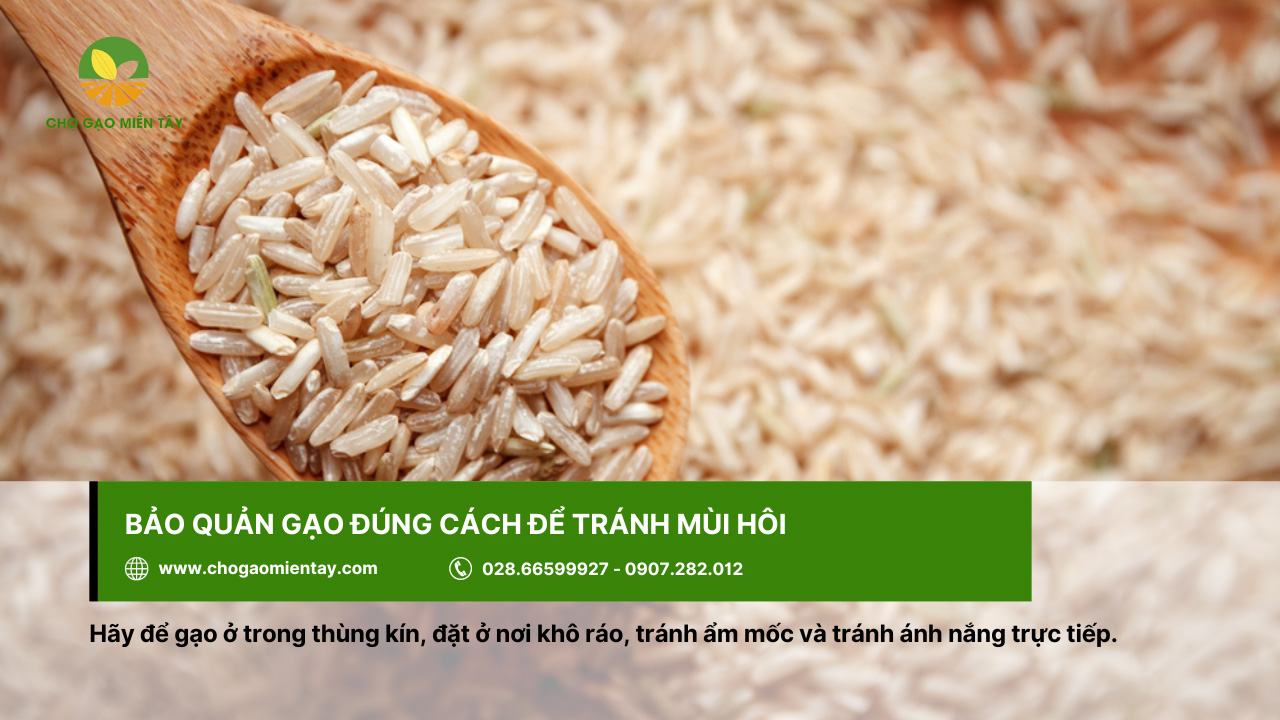 Cách khử mùi hôi của gạo, gạo bị mốc hiệu quả 15 Bảo quản ở nơi khô ráo để tránh bị hôi, ẩm mốc
