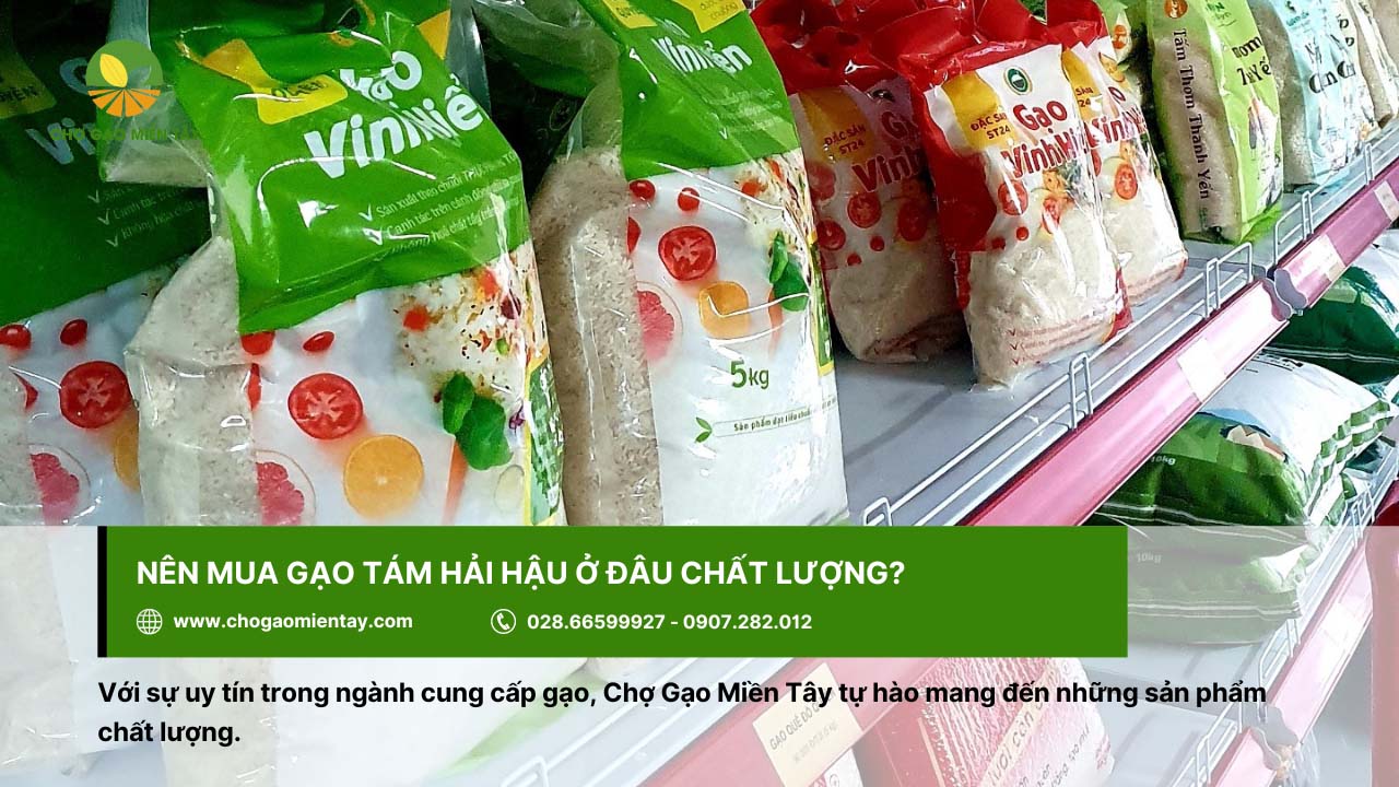 Gạo Tám Hải Hậu 12 Chợ Gạo Miền Tây mang đến sản phẩm gạo chất lượng
