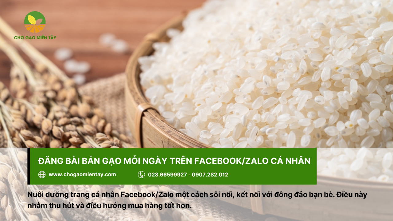 Cách đăng bài bán gạo, tuyệt chiêu kinh doanh gạo 100 đơn/ngày 12 Đăng bài bán gạo qua Zalo hoặc Facebook cá nhân cũng mang lại hiệu quả tối ưu