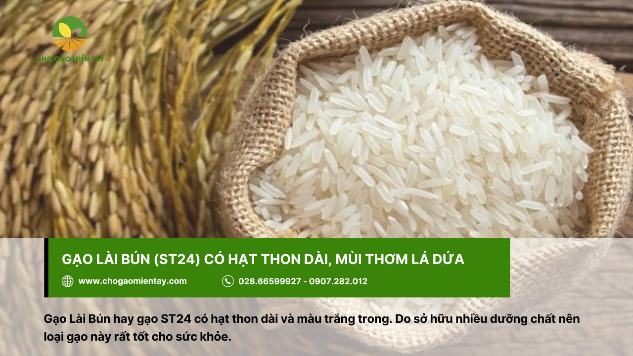 Top 10 các loại gạo ngon nhất Việt Nam được ưa chuộng 14 Gạo Lài Bún tốt cho sức khỏe nhờ sở hữu các dưỡng chất cần thiết
