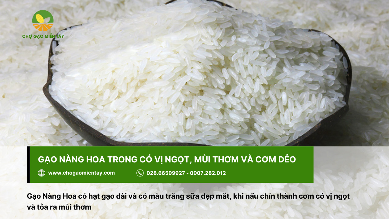 Tổng Hợp Các Tính Chất Của Các Gạo Phổ Biến Nhất 12 Gạo Nàng Hoa cho cơm dẻo và thơm