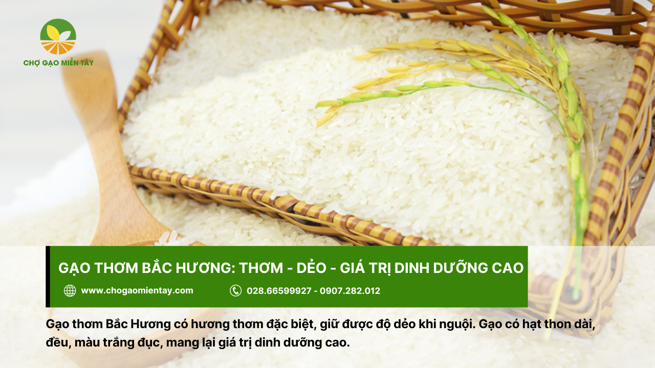 Top 10 các loại gạo ngon nhất Việt Nam được ưa chuộng 8 Gạo thơm Bắc Hương giữ được độ dẻo của cơm, kể cả khi nguội