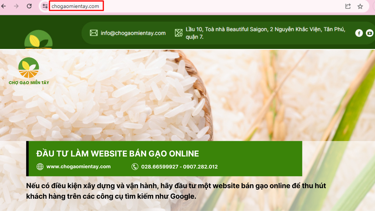 Cách đăng bài bán gạo, tuyệt chiêu kinh doanh gạo 100 đơn/ngày 13 Đầu tư trang web bán gạo online để thu hút tệp khách hàng trên các công cụ tìm kiếm