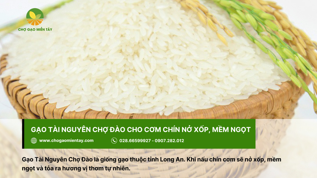Top 10 các loại gạo ngon nhất Việt Nam được ưa chuộng 15 Gạo Tài Nguyên Chợ Đào có hương thơm tự nhiên khi nấu
