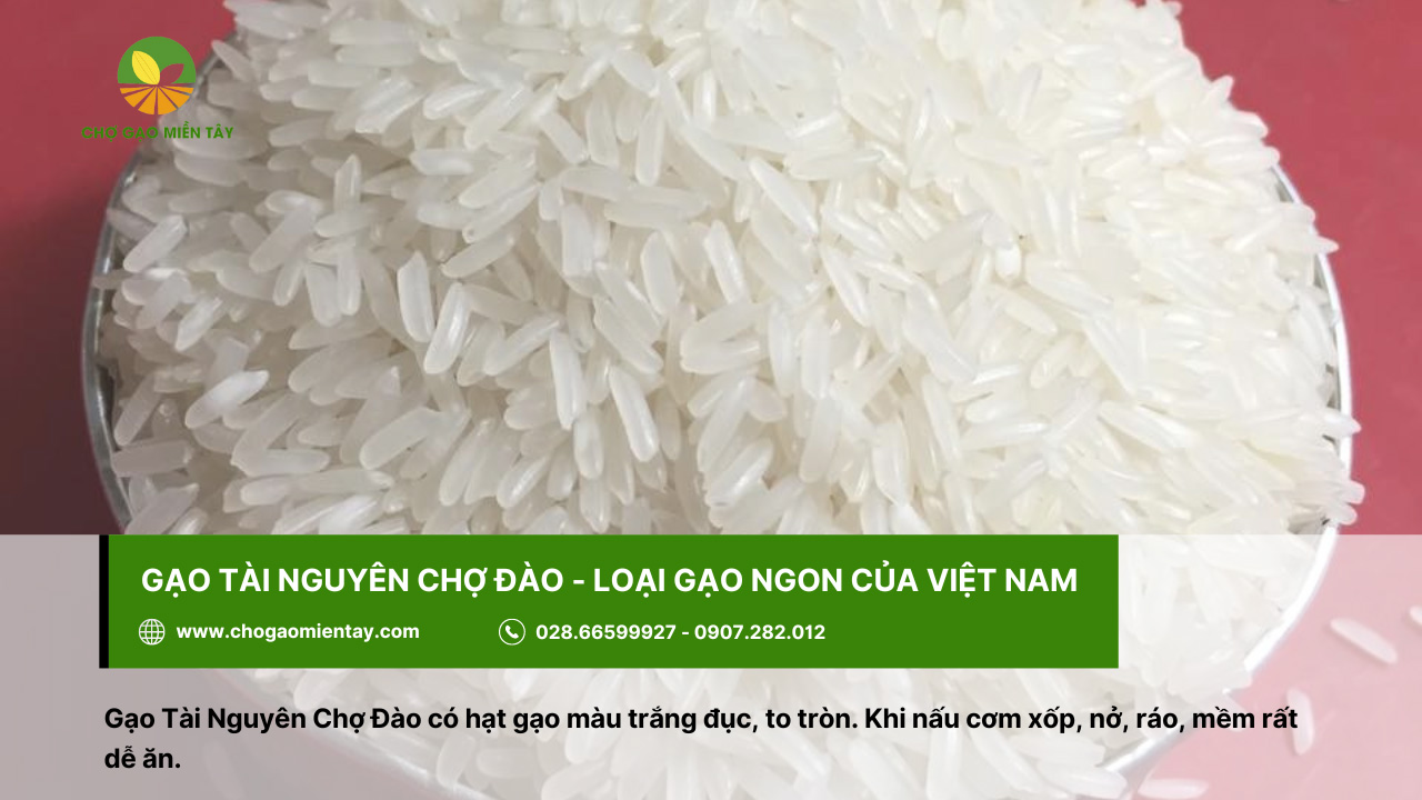 Tổng Hợp Các Tính Chất Của Các Gạo Phổ Biến Nhất 13 Gạo Tài Nguyên Chợ Đào là loại gạo ngon của Việt Nam