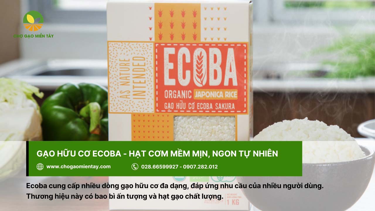 Gạo hữu cơ là gì? Có an toàn đối với sức khỏe người dùng? 15 Gạo hữu cơ Ecoba cho hạt cơm mềm mịn, thơm ngon