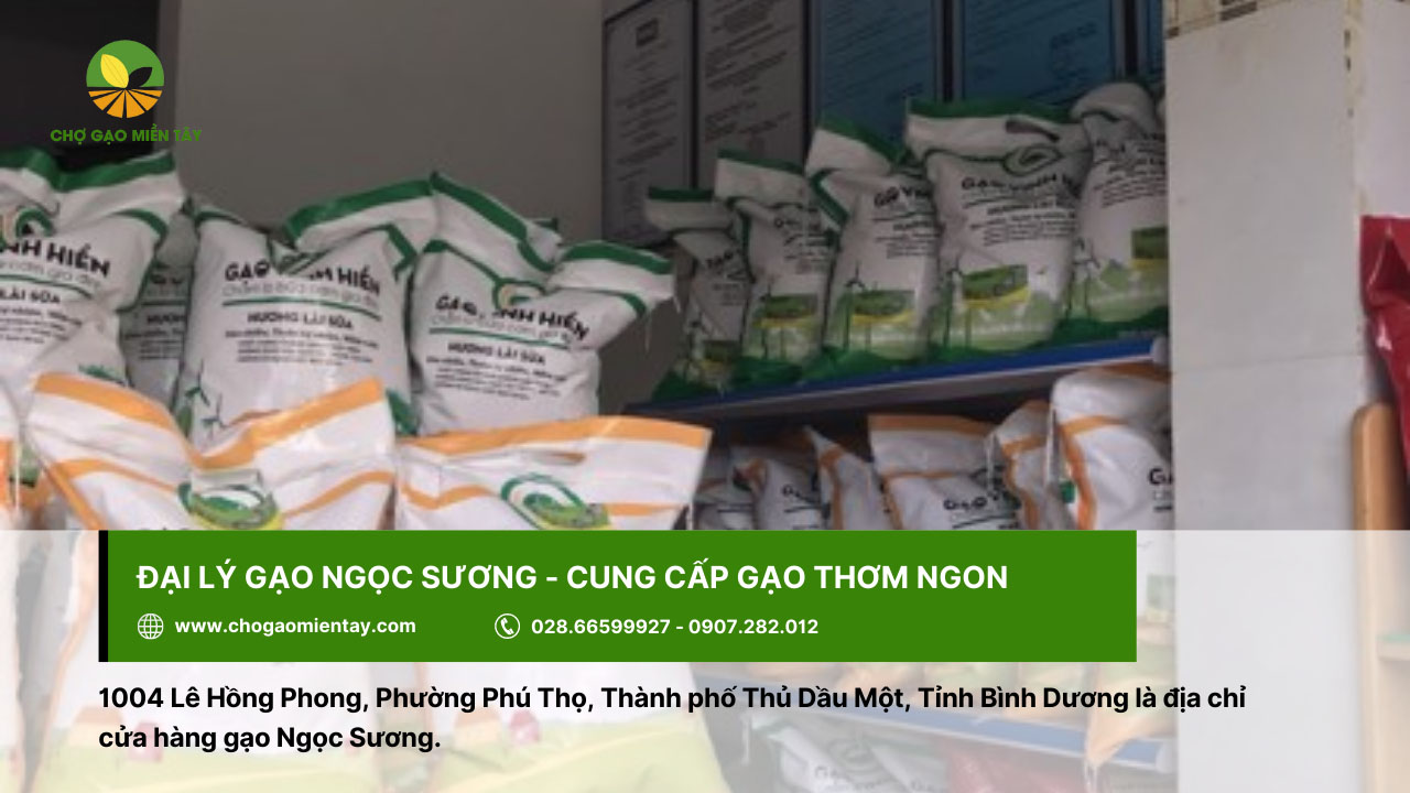 Đại lý gạo gần đây nhất, vựa gạo sỉ và lẻ giá rẻ tại TPHCM 17 Ngọc Sương là một trong nhiều đại lý cung cấp gạo thơm ngon ở Bình Dương