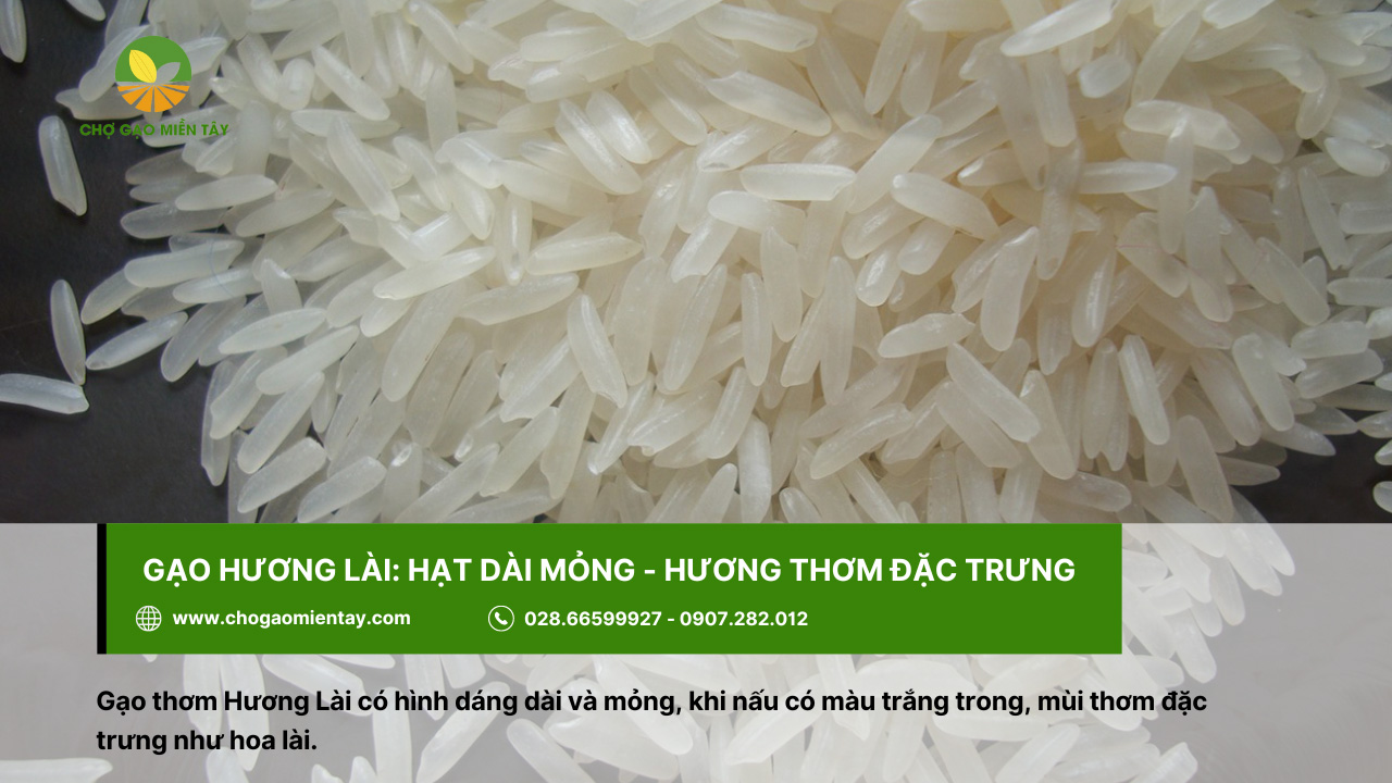 Top 10 các loại gạo ngon nhất Việt Nam được ưa chuộng 4 Gạo thơm Hương Lài với hương thơm hoa lài đặc trưng
