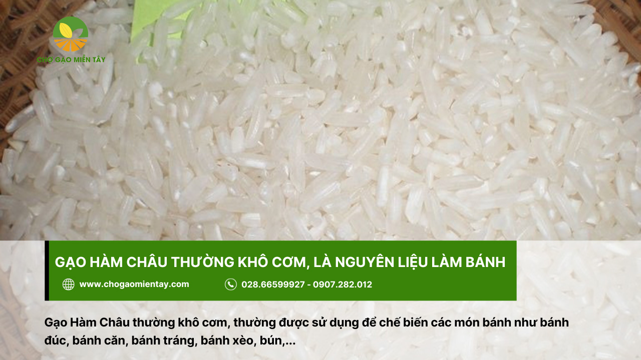 Tổng Hợp Các Tính Chất Của Các Gạo Phổ Biến Nhất 20 Gạo Hàm Châu sử dụng trong chế biến các món bánh
