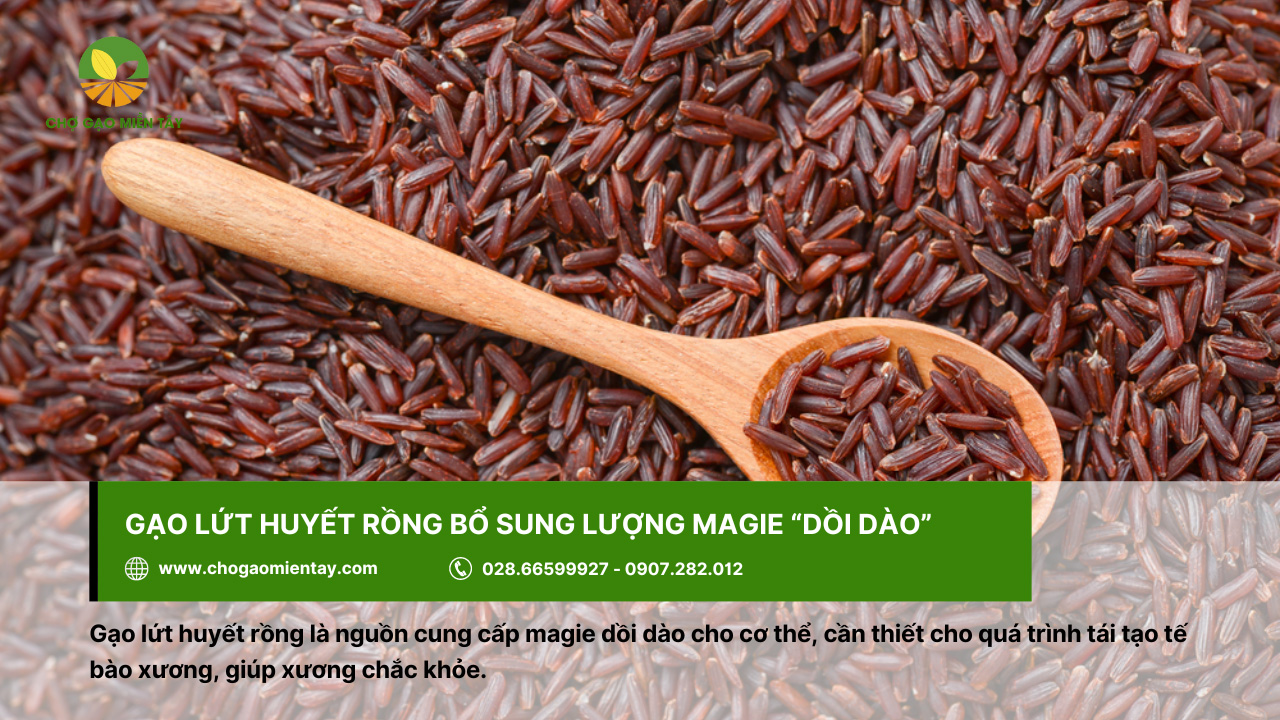 Gạo lứt huyết rồng là gì? Công dụng & Tác dụng đối với cơ thể 9 Gạo lứt huyết rồng cung cấp nhiều dưỡng chất magie