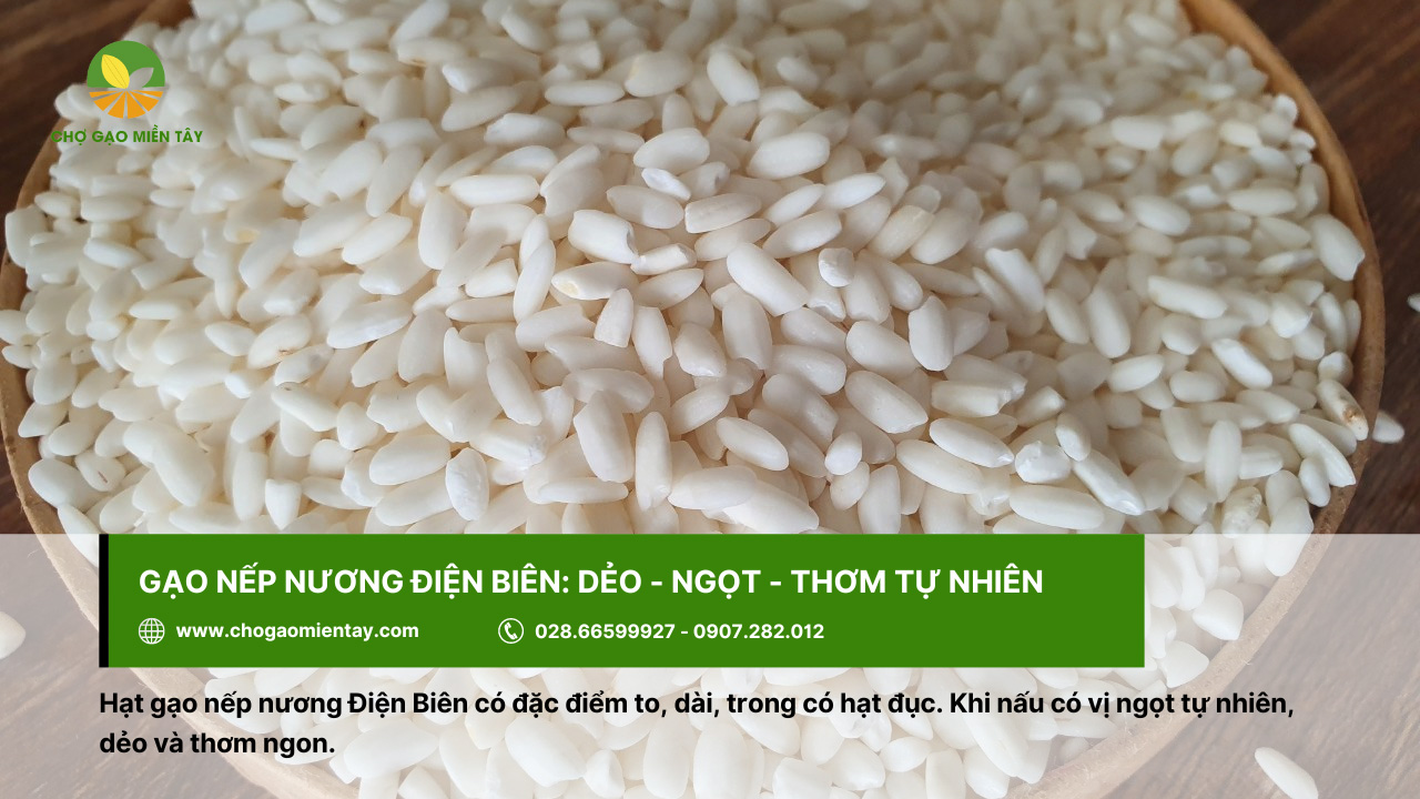 Gạo ngon ở Hà Nội mua ở đâu uy tín chất lượng 5 Gạo nếp nương Điện Biên thơm ngon
