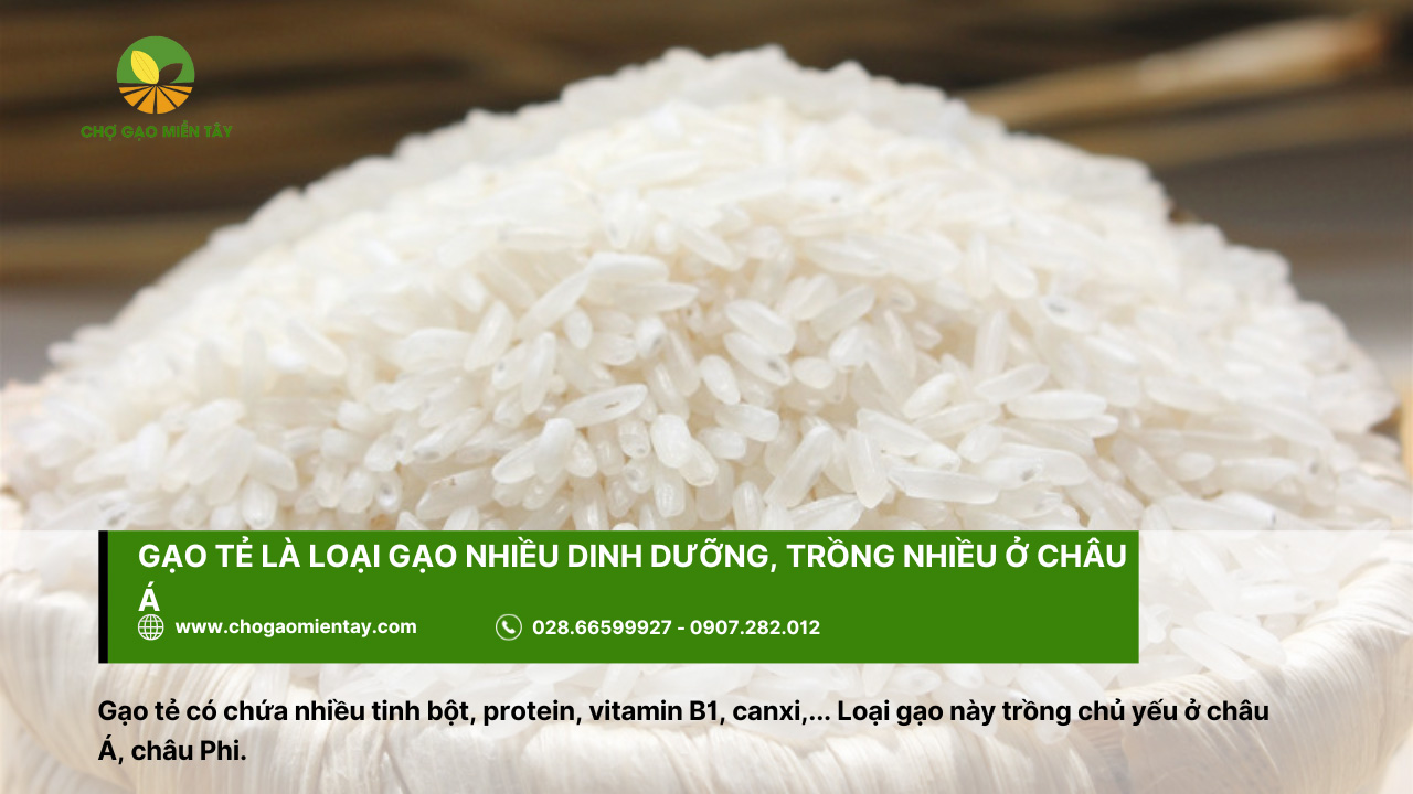 Tổng Hợp Các Tính Chất Của Các Gạo Phổ Biến Nhất 3 Gạo tẻ là loại gạo có nhiều chất dinh dưỡng, trồng nhiều ở châu Á