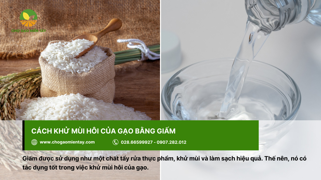 Cách khử mùi hôi của gạo, gạo bị mốc hiệu quả 6 Khử mùi hôi của gạo dễ dàng bằng giấm