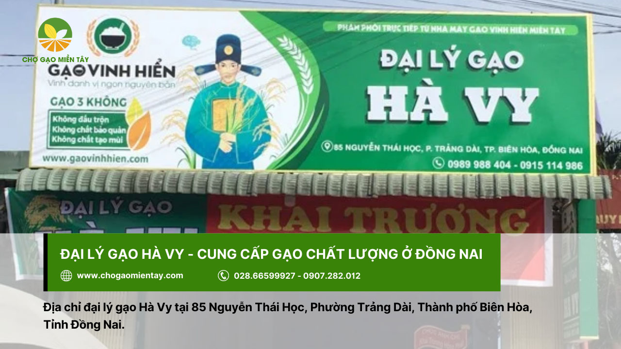 Đại lý gạo gần đây nhất, vựa gạo sỉ và lẻ giá rẻ tại TPHCM 23 Tìm mua gạo chất lượng ở Đồng Nai tại đại lý gạo Hà Vy