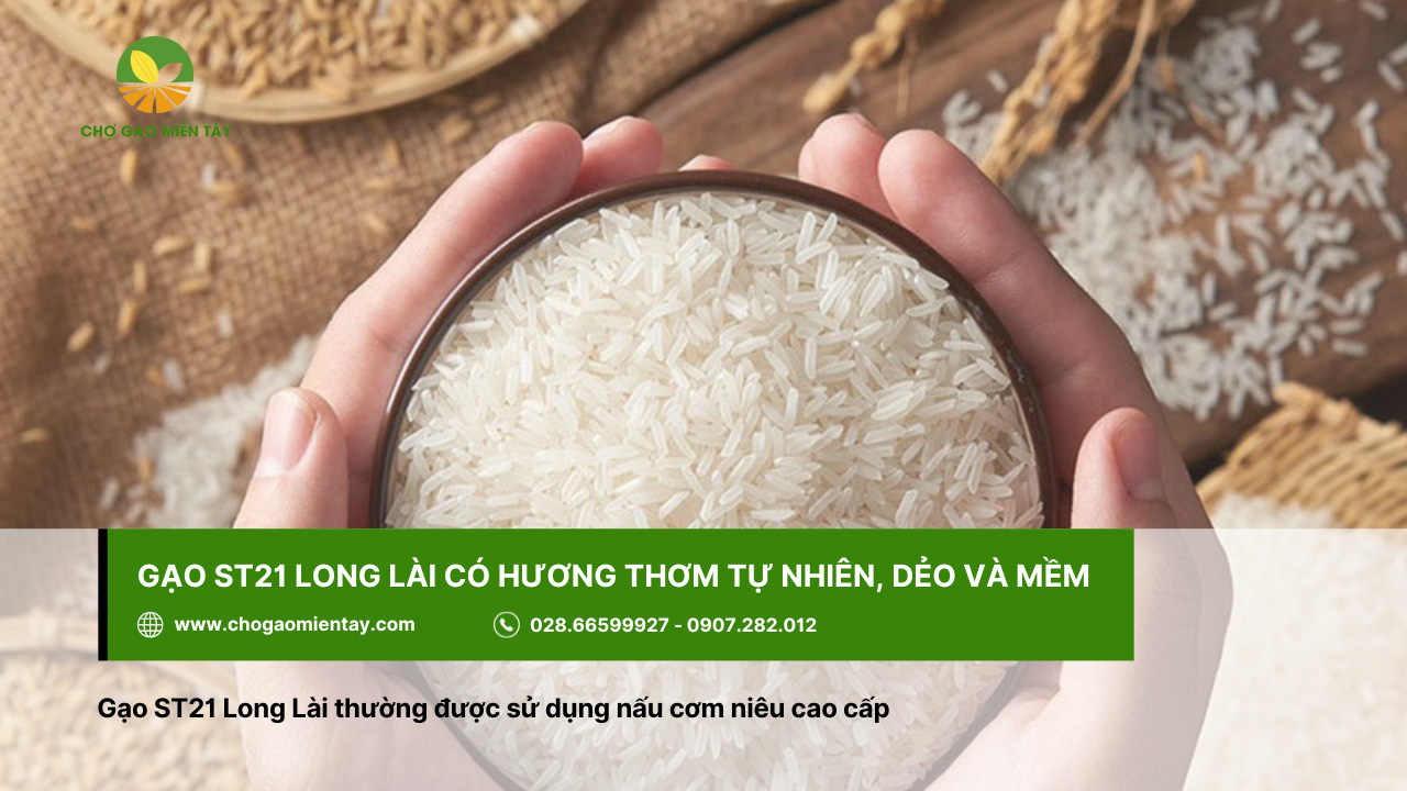 Tổng Hợp Các Tính Chất Của Các Gạo Phổ Biến Nhất 21 Gạo ST21 Long Lài với hương thơm tự nhiên, mềm, dẻo