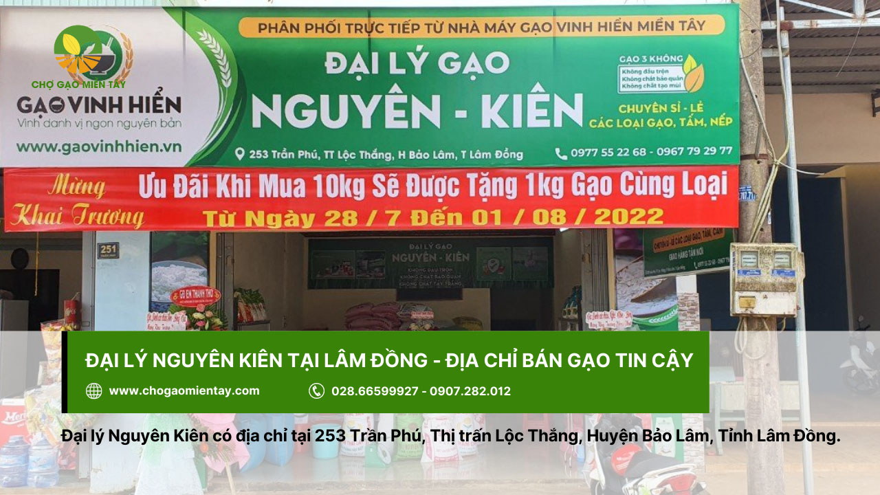 Đại lý gạo gần đây nhất, vựa gạo sỉ và lẻ giá rẻ tại TPHCM 29 Đại lý Nguyên Kiên ở Lâm Đồng - địa chỉ bán gạo tin cậy