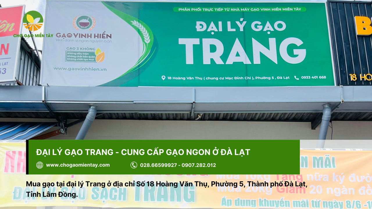 Đại lý gạo gần đây nhất, vựa gạo sỉ và lẻ giá rẻ tại TPHCM 30 Tìm cửa hàng gạo ở Đà Lạt? Đến ngay gạo Trang
