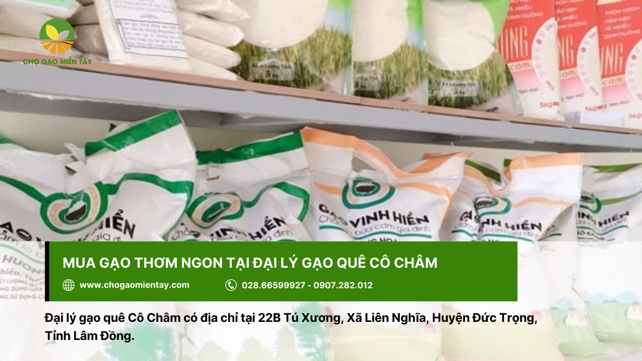 Đại lý gạo gần đây nhất, vựa gạo sỉ và lẻ giá rẻ tại TPHCM 31 Đại lý gạo quê Cô Châm với các dòng gạo thơm ngon
