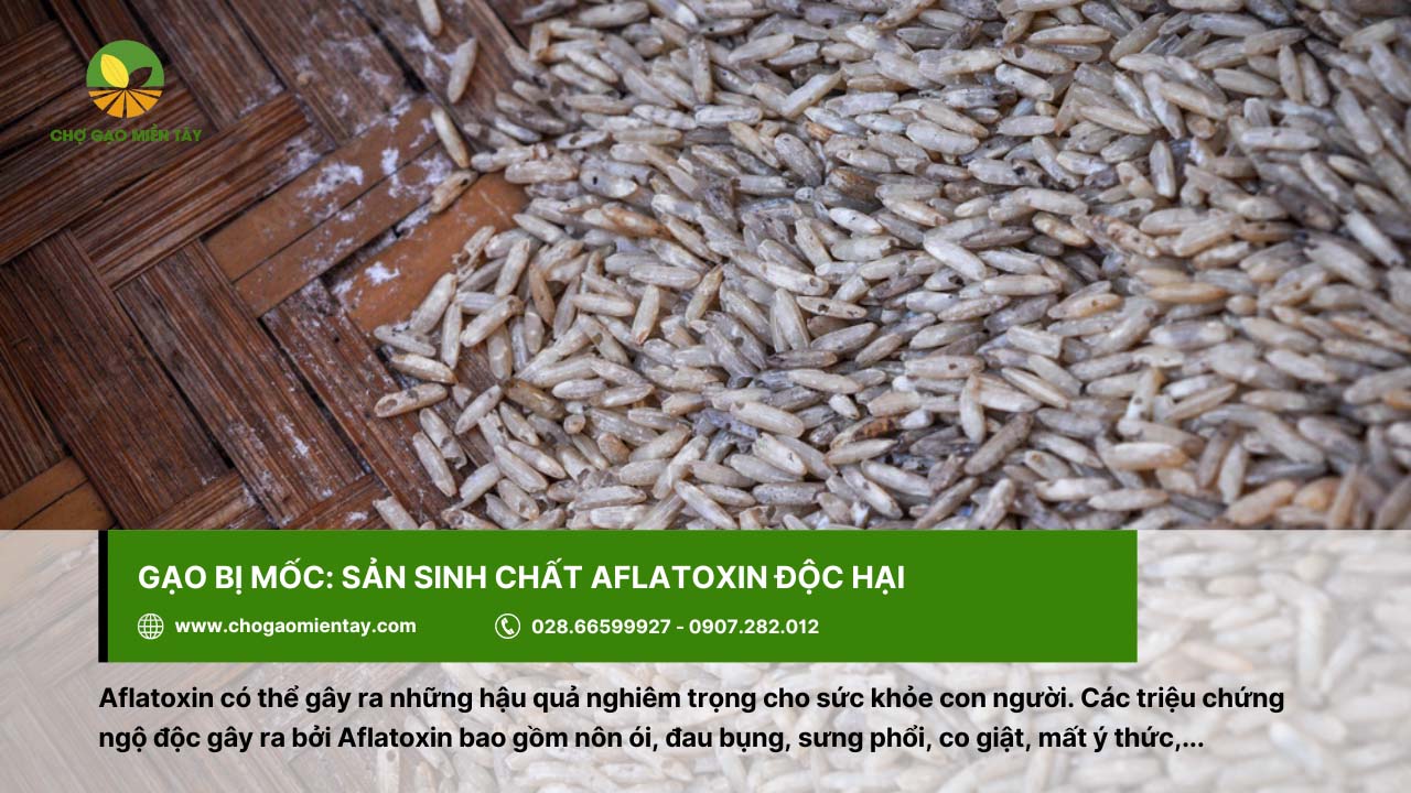 Cách khử mùi hôi của gạo, gạo bị mốc hiệu quả 4 Ăn phải gạo bị mốc dễ gây ra tình trạng đau bụng, nôn ói,...