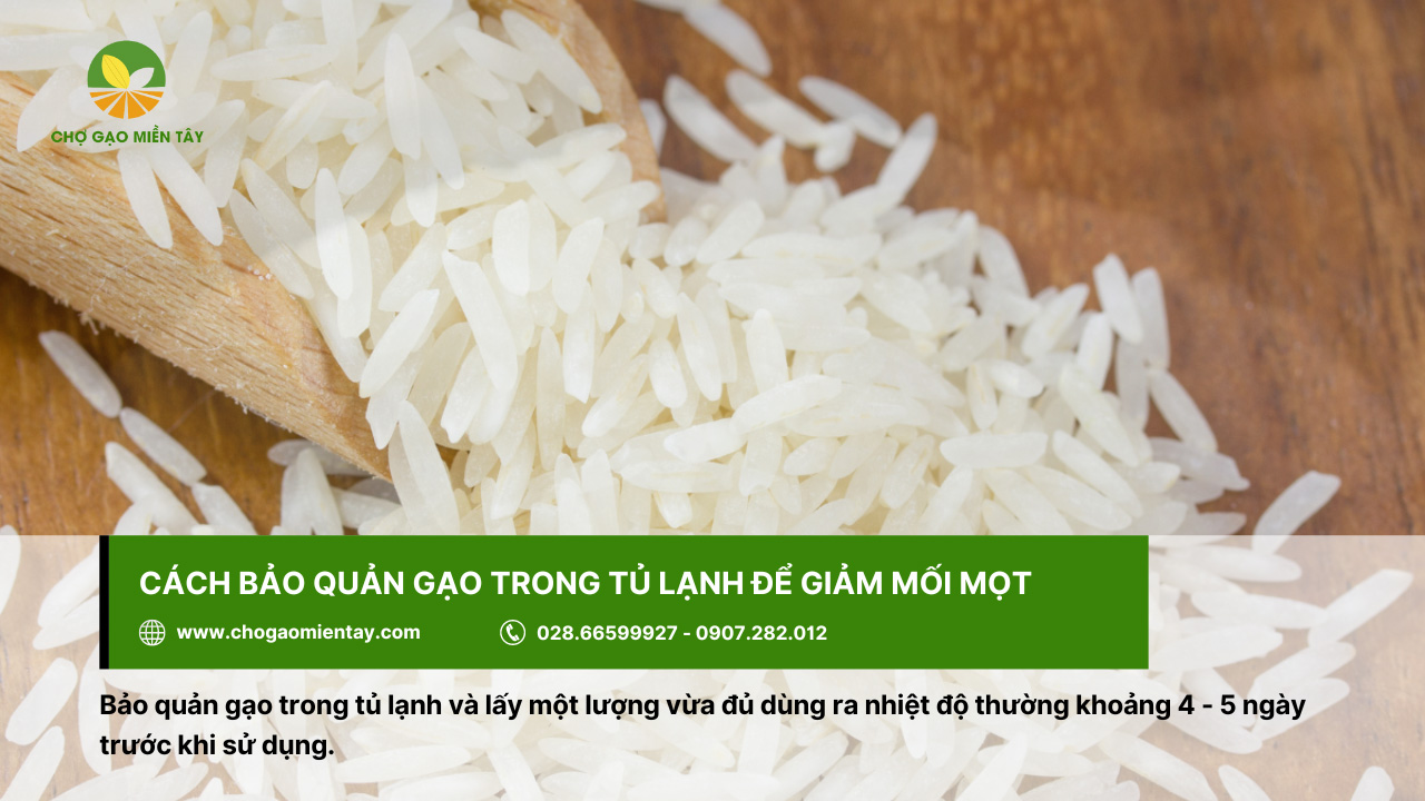 Bí quyết bảo quản gạo được lâu cả năm vẫn không bị sâu mọt 6 Bảo quản gạo trong tủ lạnh để đảm bảo chất lượng, tránh mối mọt hay côn trùng