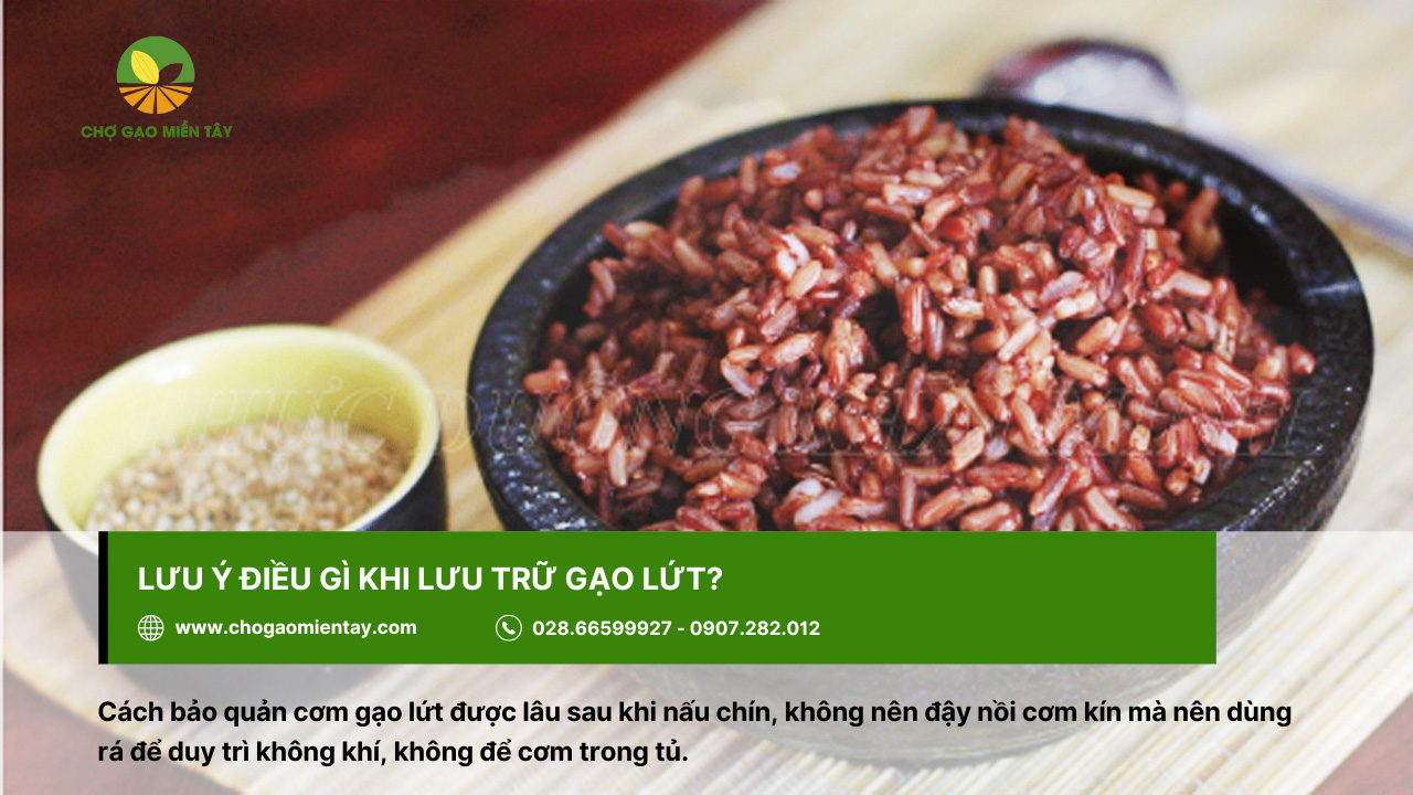 Hướng dẫn cách bảo quản cơm gạo Lứt đúng cách 5 Cách bảo quản gạo lứt lâu