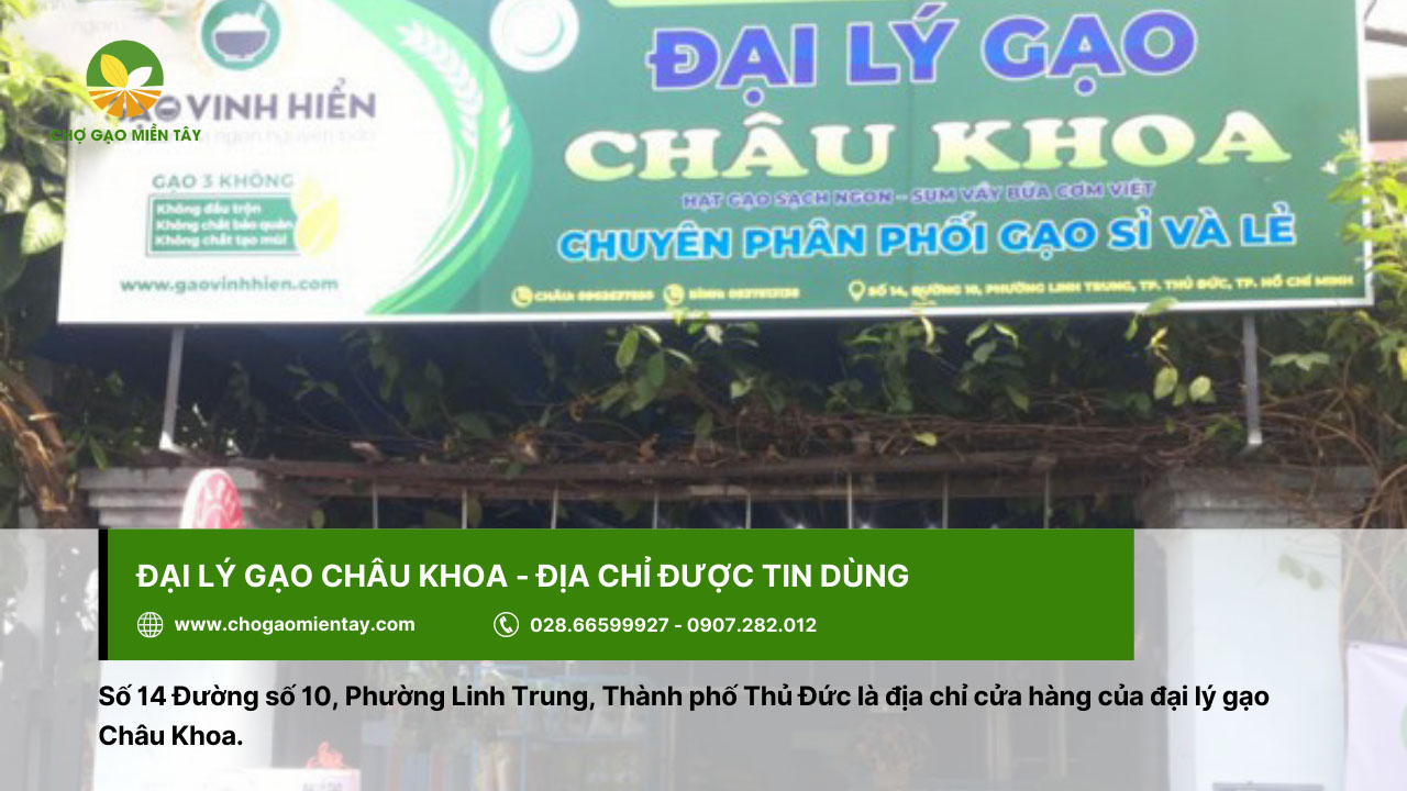 Đại lý gạo gần đây nhất, vựa gạo sỉ và lẻ giá rẻ tại TPHCM 6 Đại lý gạo Châu Khoa được tin dùng ở Sài Gòn